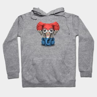 Baby Elephant with Glasses and Paraguay Flag Hoodie